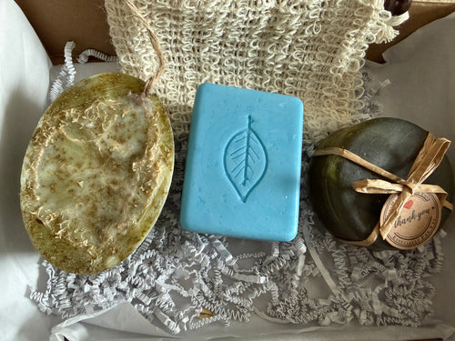 Men soap set - aloe vera with loofah and Shea butter soaps